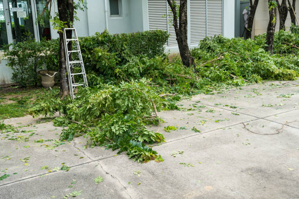 Best Tree Branch Trimming  in Gibson, AR